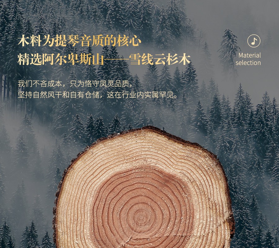 開云手機(jī)站登錄入口有限公司