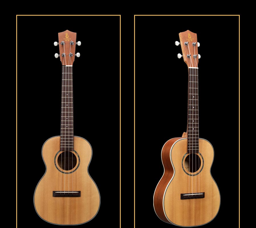 開云手機站登錄入口有限公司