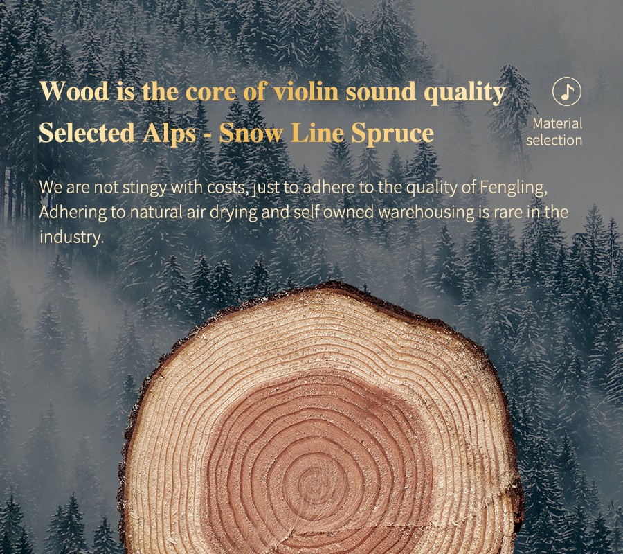 開云手機(jī)站登錄入口有限公司