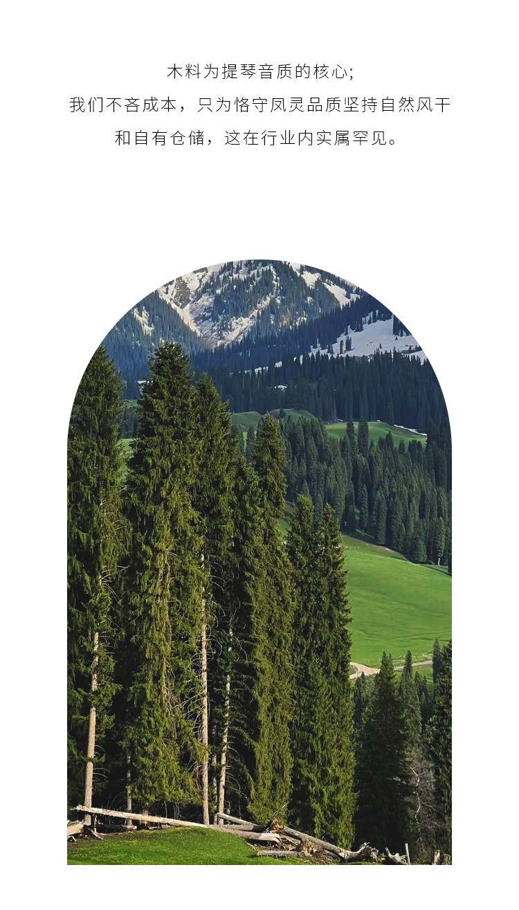 開云手機站登錄入口有限公司