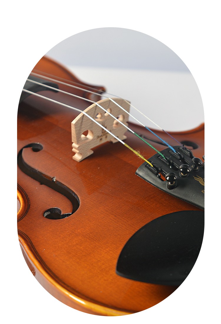 開云手機站登錄入口有限公司