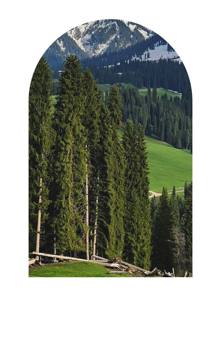 開云手機站登錄入口有限公司