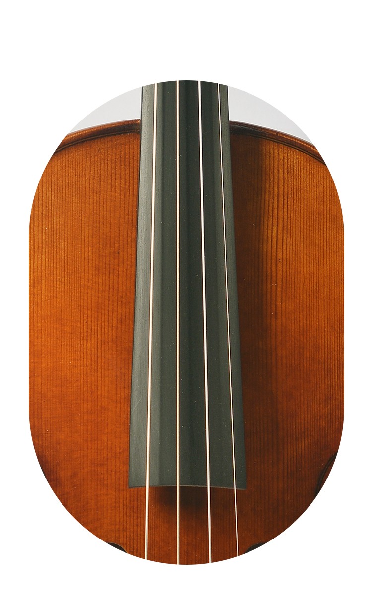 開云手機站登錄入口有限公司