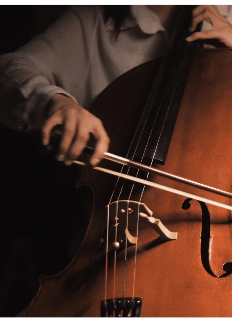 開云手機站登錄入口有限公司