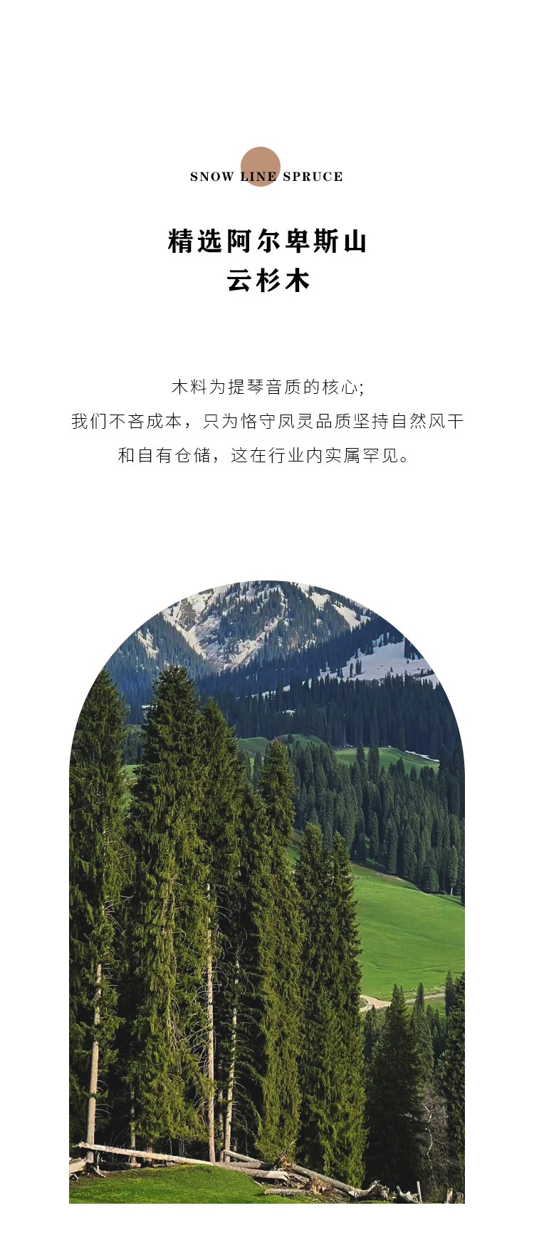 開云手機站登錄入口有限公司