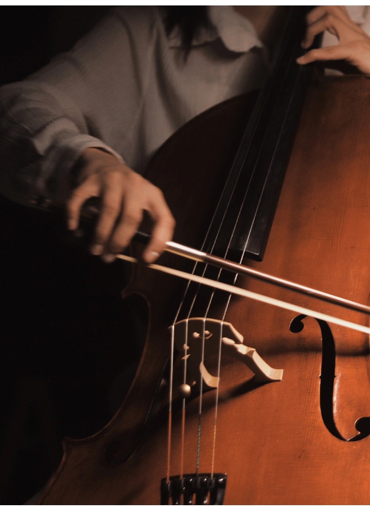 開云手機(jī)站登錄入口有限公司