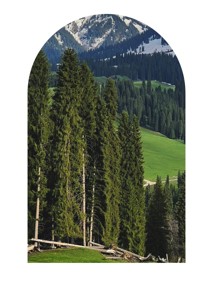 開云手機(jī)站登錄入口有限公司