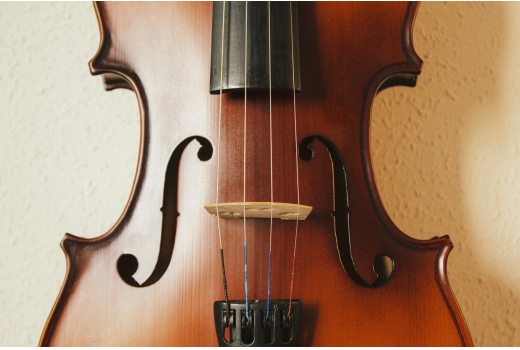 2011江蘇開云手機站登錄入口提琴文化旅游節(jié)在我集團隆重舉辦