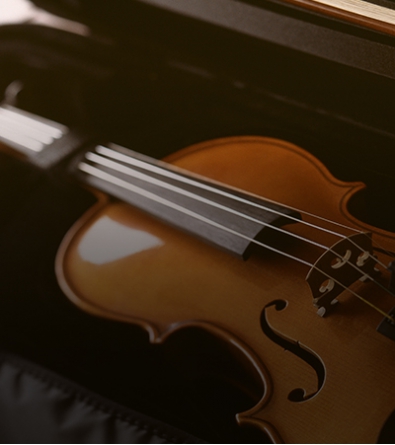 Amazon exclusive brand